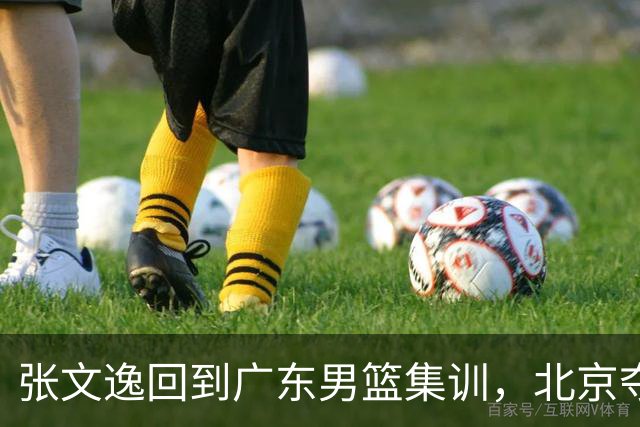 张文逸回到广东男篮集训，北京夺冠功勋确定退役，上海欲续约弗格